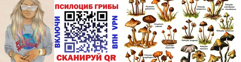 Псилоцибиновые грибы ЛСД  Похвистнево 